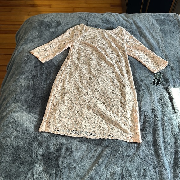 Light Pink Lace Dress - Picture 2 of 9